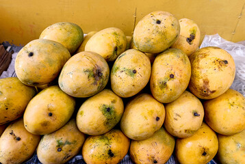 Fresh Ripe Mangoes on Display for sell in India