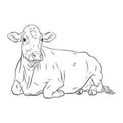 Strong Physique Fundamental Qualities Zone - Cow vector - Cow Line art - Cow Drawing - Vector Lineart of Cow - cow logo - cow outline

