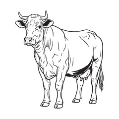 Dairy Cow Rare Trait Element - Cow vector - Cow Line art - Cow Drawing - Vector Lineart of Cow - cow logo - cow outline

