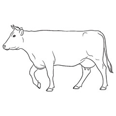 Grazing Mammal Being Attribute - Cow vector - Cow Line art - Cow Drawing - Vector Lineart of Cow - cow icon - outline of cow

