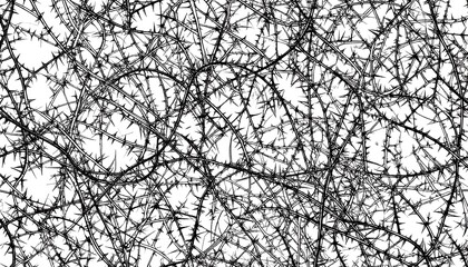 Obraz premium Abstract prickly pattern