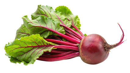 beet root isolated on white background