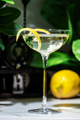 refreshing dukes martini cocktail made with gin, dry vermouth, and a twist of lemon peel in a stylish setting