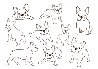 フレンチブルドック（線画）