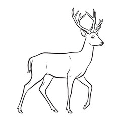 Slender-legged Deer Resilience Capacity - Deer vector - Deer Line art - Deer Drawing - Vector Lineart of Deer - deer icon - outline of deer

