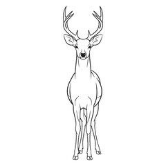 Hoofed Deer Physical Makeup Figure - Deer vector - Deer Line art - Deer Drawing - Vector Lineart of Deer - deer icon - outline of deer

