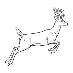 Elusive Deer Ancient Aura Ambit - Deer vector - Deer Line art - Deer Drawing - Vector Lineart of Deer - deer icon - outline of deer

