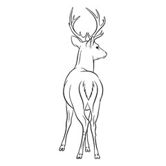Woodland Deer Rare Trait Element - Deer vector - Deer Line art - Deer Drawing - Vector Lineart of Deer - deer logo - deer outline

