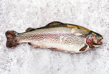 Fresh rainbow trout on grey table background, ready for cooking, top view