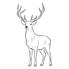 Forest-dwelling Deer Body Anatomy Sketch - Deer vector - Deer Line art - Deer Drawing - Vector Lineart of Deer - deer icon - outline of deer

