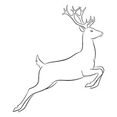 Antlered Deer Feature Shape - Deer vector - Deer Line art - Deer Drawing - Vector Lineart of Deer - deer logo - deer outline

