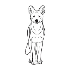 Lean-bodied Dhole Physical Makeup Figure - Dhole vector - Dhole Line art - Dhole Drawing - Vector Lineart of Dhole - dhole icon - outline of dhole

