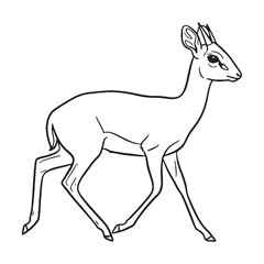 Smallest-antelope Dik-dik, Defining Attribute Mark, Dik-dik vector, Dik-dik Line art, Dik-dik Drawing, Vector Lineart of Dik-dik, dik-dik logo, dik-dik outline

