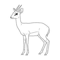 Solitary Dik-dik, Fundamental Qualities Zone, Dik-dik vector, Dik-dik Line art, Dik-dik Drawing, Vector Lineart of Dik-dik, dik-dik logo, dik-dik outline

