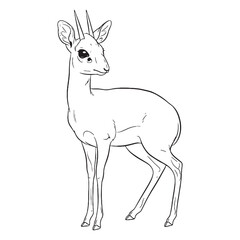 Compact-bodied Dik-dik, Body Anatomy Sketch, Dik-dik vector, Dik-dik Line art, Dik-dik Drawing, Vector Lineart of Dik-dik, dik-dik icon, outline of dik-dik


