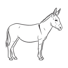 Patient Donkey Untamed Spirit Vision - Donkey vector - Donkey Line art - Donkey Drawing - Vector Lineart of Donkey - donkey logo - donkey outline

