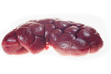 Cow kidneys on a white background