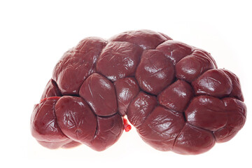 Cow kidneys on a white background