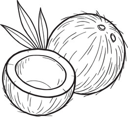 Whole and halved coconut with leaves fruit tropical