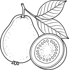 Whole guava fruit and slice with leaves vector