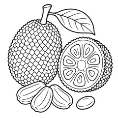 Whole jackfruit cross section leaf seeds tropical food