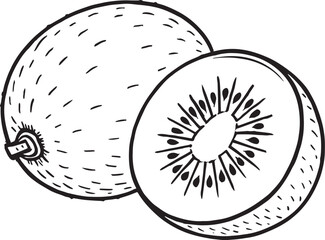 Whole kiwi fruit and slice with seeds vector