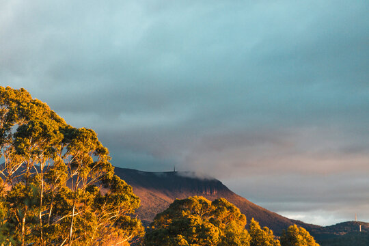 sunrise over tasmanian mountains with gum trees in the foreground - Powered by Adobe