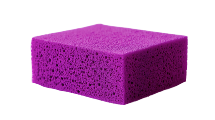 Bold Sponge Design