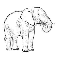 Herbivorous Elephant Wild Spirit Core - Elephant vector - Elephant Line art - Elephant Drawing - Vector Lineart of Elephant - elephant icon - outline of elephant

