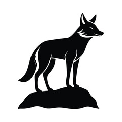 Obraz premium Black silhouette of a coyote standing on a rock