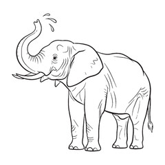 Wrinkled Elephant Defining Attribute Mark - Elephant vector - Elephant Line art - Elephant Drawing - Vector Lineart of Elephant - elephant logo - elephant outline

