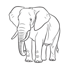 Fototapeta premium Grey-skinned Elephant Physical Makeup Figure - Elephant vector - Elephant Line art - Elephant Drawing - Vector Lineart of Elephant - elephant icon - outline of elephant