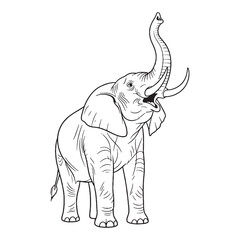 Asian Elephant Ancient Aura Ambit - Elephant vector - Elephant Line art - Elephant Drawing - Vector Lineart of Elephant - elephant icon - outline of elephant

