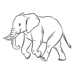 Gentle Giant Elephant Silent Presence Air - Elephant vector - Elephant Line art - Elephant Drawing - Vector Lineart of Elephant - elephant logo - elephant outline

