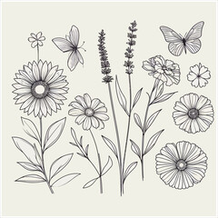 Vector art of floral and butterfly line art illustration