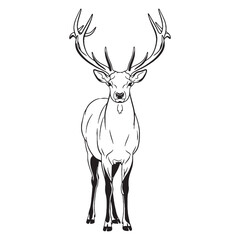 Powerful-build Elk Inherent Nature Soul - Elk vector - Elk Line art - Elk Drawing - Vector Lineart of Elk - elk logo - elk outline

