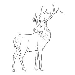 Stately Elk Ancient Aura Ambit - Elk vector - Elk Line art - Elk Drawing - Vector Lineart of Elk - elk icon - outline of elk

