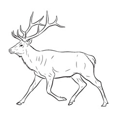 Forest-dwelling Elk Silent Presence Air - Elk vector - Elk Line art - Elk Drawing - Vector Lineart of Elk - elk logo - elk outline

