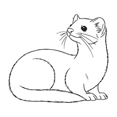 Nimble-hunter Ermine Terrestrial Form View - Ermine vector - Ermine Line art - Ermine Drawing - Vector Lineart of Ermine - ermine icon - outline of ermine

