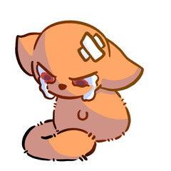 the crying little orange cat