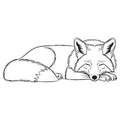 Solitary Fox Fundamental Qualities Zone - Fox vector - Fox Line art - Fox Drawing - Vector Lineart of Fox - fox logo - fox outline

