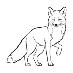Alert Fox Inherent Nature Soul - Fox vector - Fox Line art - Fox Drawing - Vector Lineart of Fox - fox logo - fox outline

