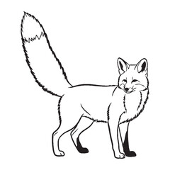 Nocturnal Fox Silent Presence Air - Fox vector - Fox Line art - Fox Drawing - Vector Lineart of Fox - fox logo - fox outline

