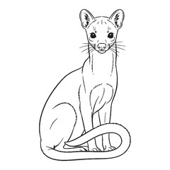 Agile-bodied Fossa Ancient Aura Ambit - Fossa vector - Fossa Line art - Fossa Drawing - Vector Lineart of Fossa - fossa icon - outline of fossa

