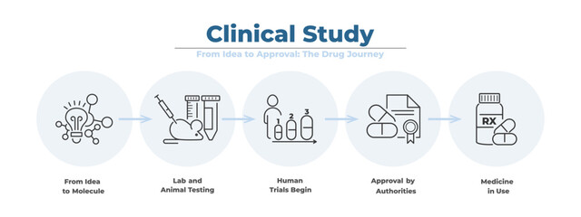 Modern linear infographic with icon chart for clinical research and drug study. From molecule to patient treatment, this medical vector explains testing, approval and workflow.