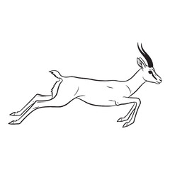 Desert-toned Gazelle Durable Structure Aspect - Gazelle vector - Gazelle Line art - Gazelle Drawing - Vector Lineart of Gazelle - gazelle icon - outline of gazelle


