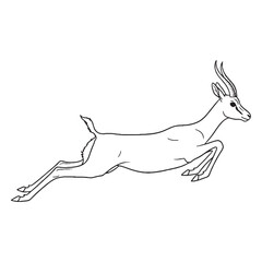 Grassland Gazelle Terrestrial Form View - Gazelle vector - Gazelle Line art - Gazelle Drawing - Vector Lineart of Gazelle - gazelle icon - outline of gazelle

