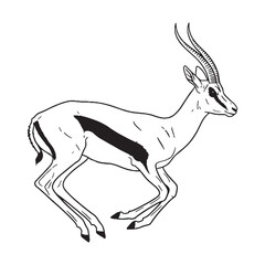 Desert-dweller Gazelle Silent Presence Air - Gazelle vector - Gazelle Line art - Gazelle Drawing - Vector Lineart of Gazelle - gazelle logo - gazelle outline

