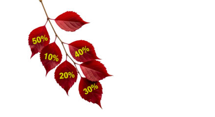 Autumn branch with vibrant red leaves displaying various yellow percentage discount numbers