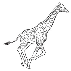 Elegant Giraffe Rare Trait Element - Giraffe vector - Giraffe Line art - Giraffe Drawing - Vector Lineart of Giraffe - giraffe logo - giraffe outline

